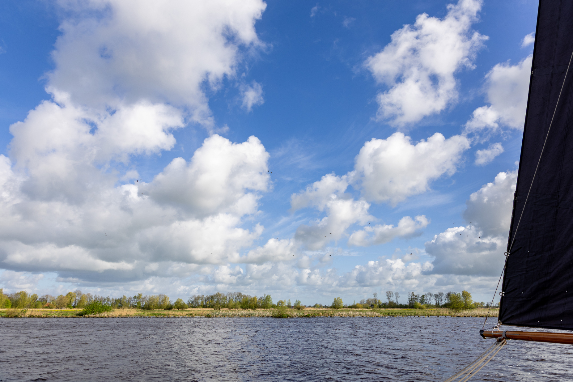 It Skûtsje fan Drachten | It Skûtsje fan Drachten